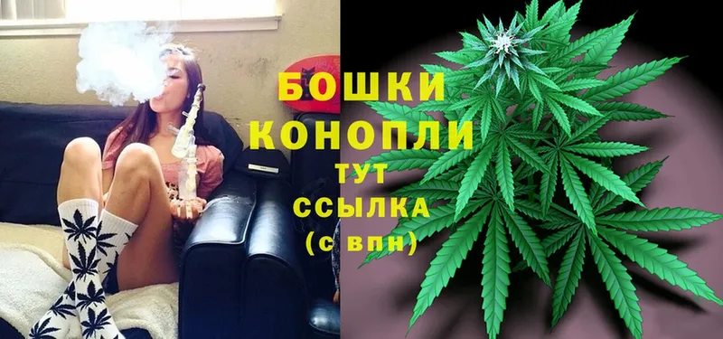 Бошки марихуана LSD WEED  Нестеров 